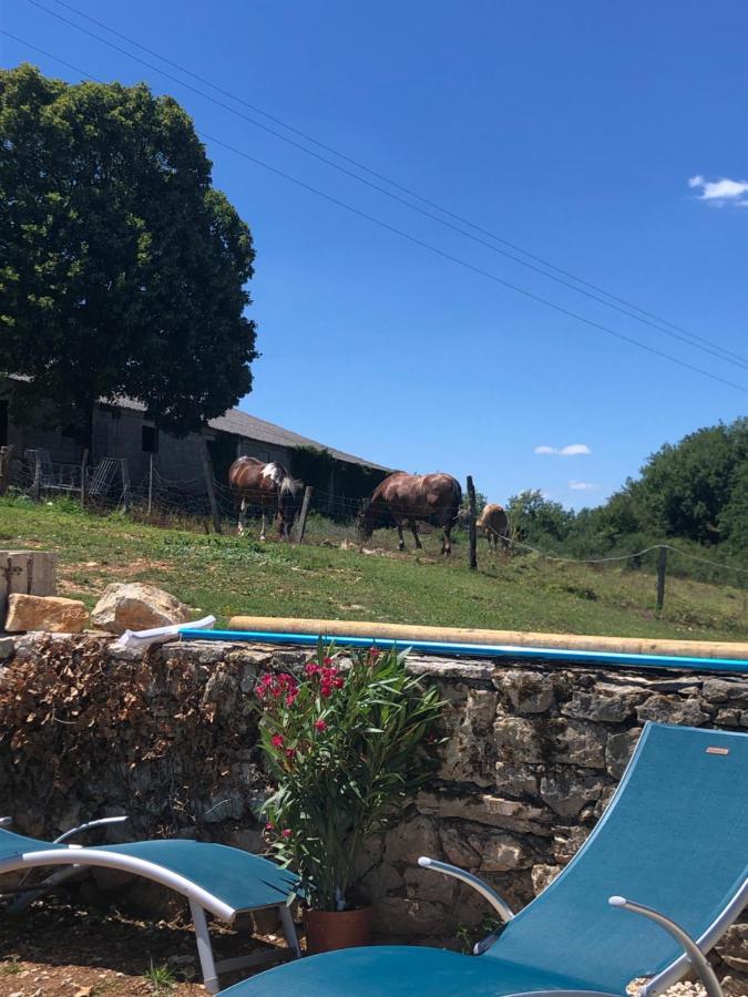 Chambre familiale à la ferme de la truffe Cuzance Exterior foto